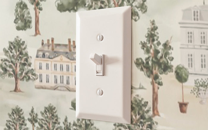 Understanding the Different Types of Wallplates