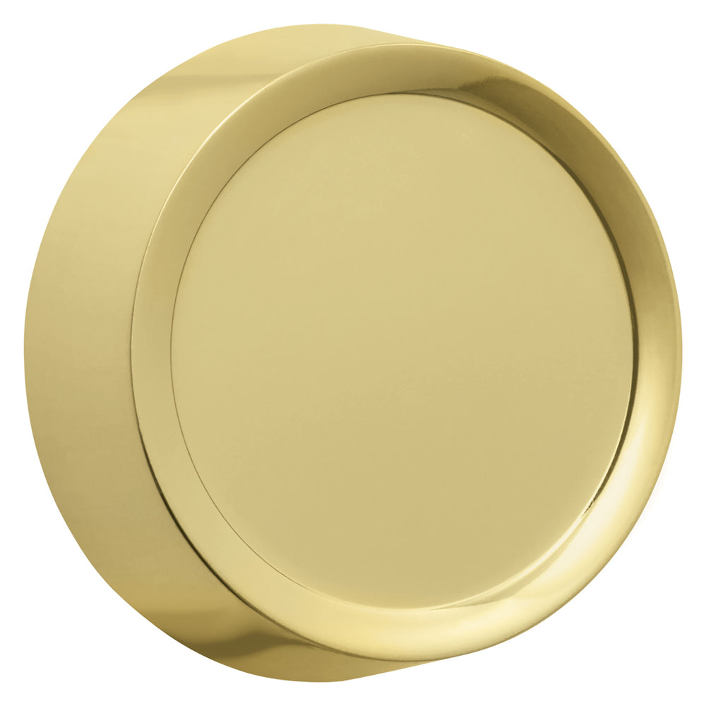 Close-up view of a polished brass dimmer knob with a sleek, shiny finish. The knob features a smooth, reflective surface that catches the light, giving it a classic and sophisticated look.